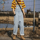 Mens Blue Stripe Overalls