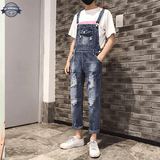 Mens Vintage Overalls