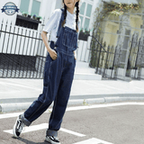 Urban Outfitters Jean Bib Overalls